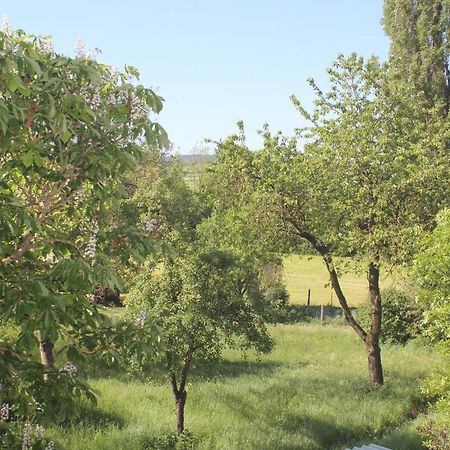 Fewo Am Schlossberg Neusitz  Bagian luar foto