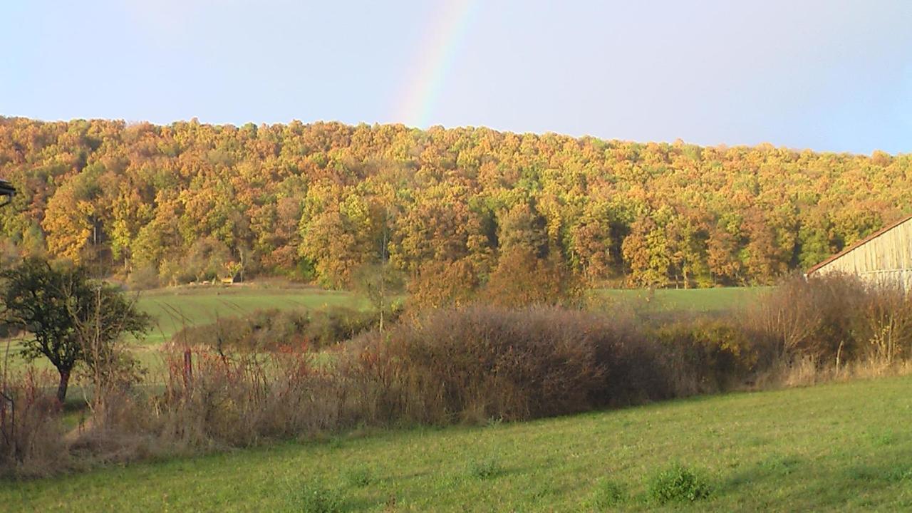 Fewo Am Schlossberg Neusitz  Bagian luar foto